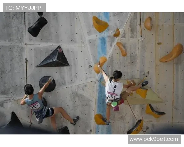 南京攀岩队整体压制革新探索与实践的深度剖析与未来展望 南京攀岩队整体压制革新探索与实践的深度剖析与未来展望