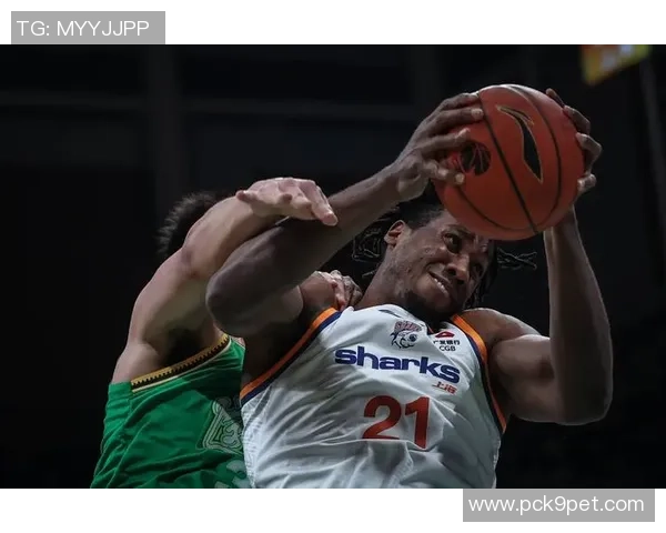 上海篮球队最新比赛经验分享TOP10引领篮球潮流