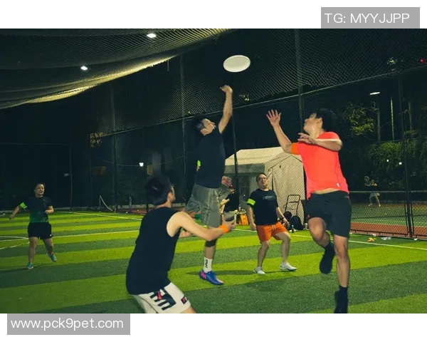 上海飞盘队的阵地战解析与战术创新探讨 上海飞盘队的阵地战解析与战术创新探讨