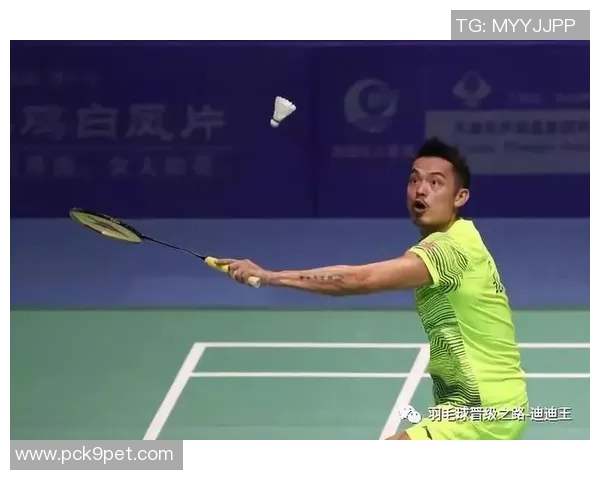 武汉羽毛球队转型之路的纪实探讨与发展历程回顾