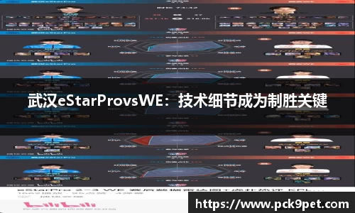 武汉eStarProvsWE：技术细节成为制胜关键