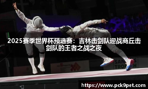 2025赛季世界杯预选赛：吉林击剑队迎战商丘击剑队的王者之战之夜