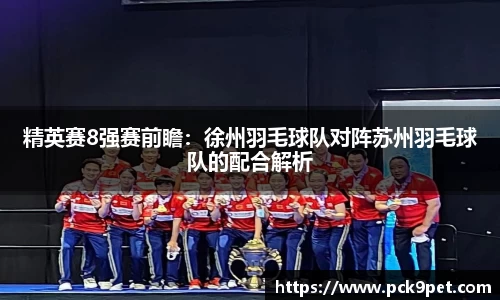 精英赛8强赛前瞻：徐州羽毛球队对阵苏州羽毛球队的配合解析