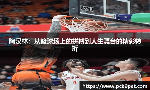 陶汉林：从篮球场上的拼搏到人生舞台的精彩转折