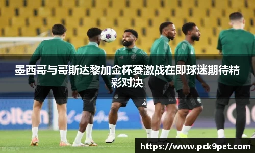 墨西哥与哥斯达黎加金杯赛激战在即球迷期待精彩对决