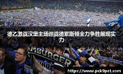 德乙激战汉堡主场迎战德累斯顿全力争胜展现实力